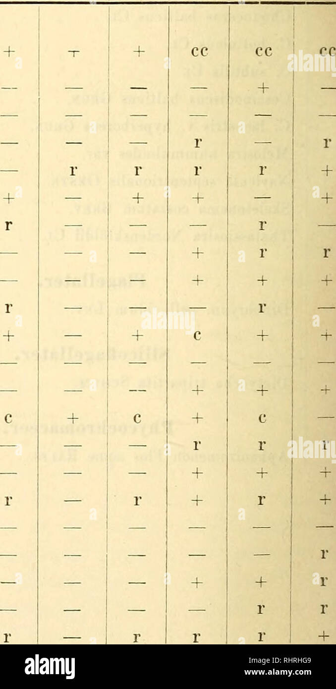 Page 10 - C Bail High Resolution Stock Photography and Images - Alamy